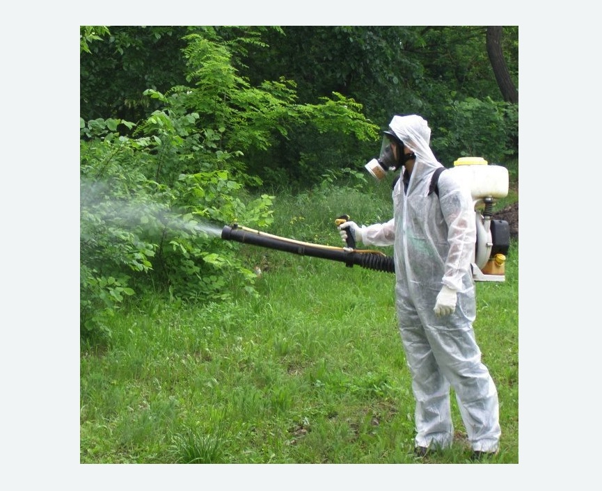 обработка территории от клещей в Пятигорске