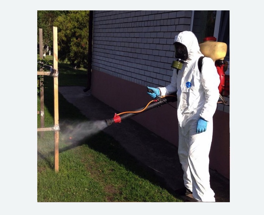 травля клещей на участке в Пятигорске