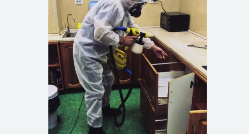 Дезинсекция квартиры. Пятигорск