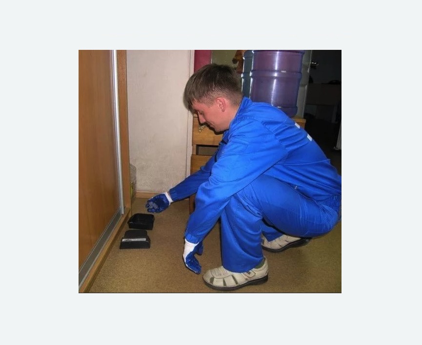 Дератизация крыс в Пятигорске