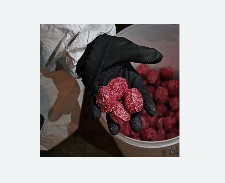 Обработка от крыс в Пятигорске