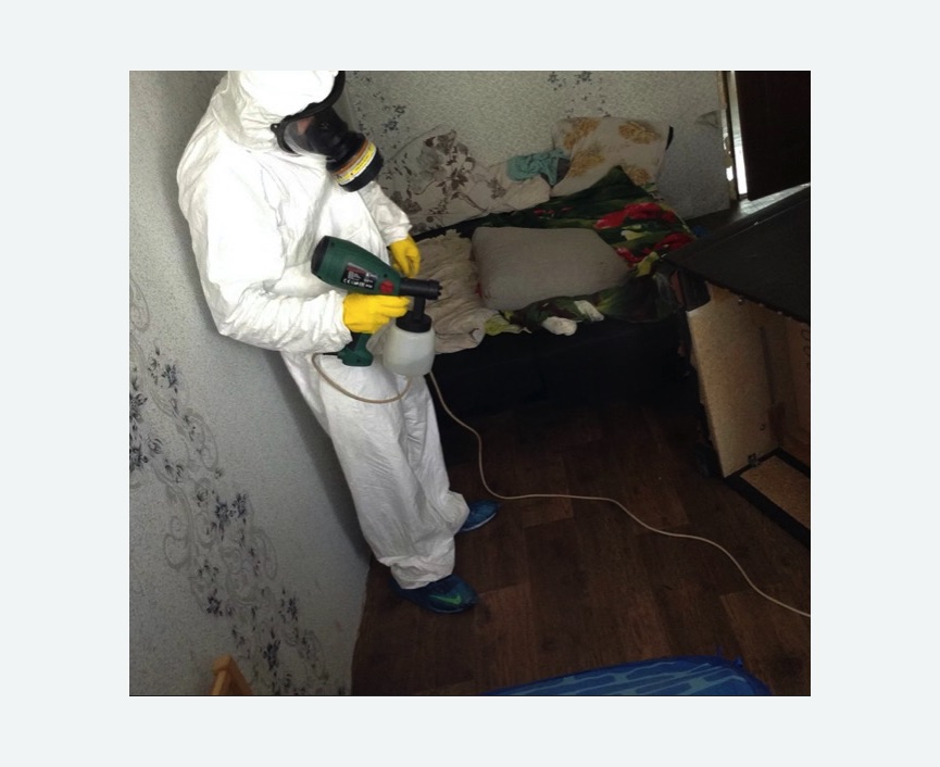 Обработка от насекомых в Пятигорске Обработка квартиры от насекомых