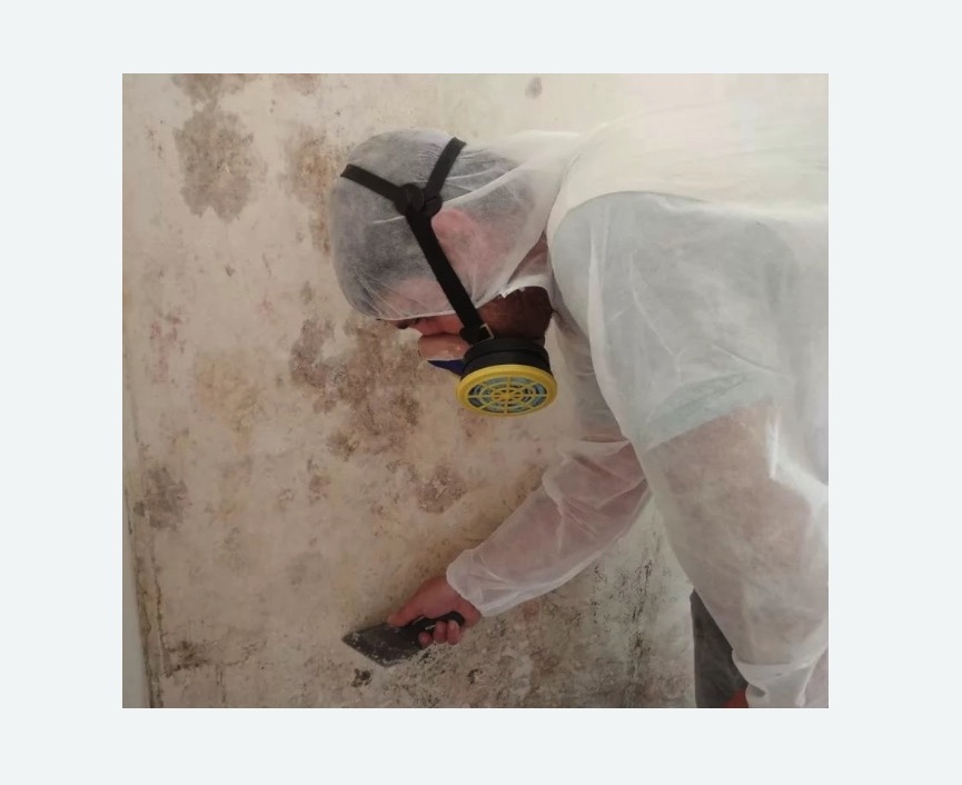 Обработка стен от плесени Обработка стен от плесени в Пятигорске