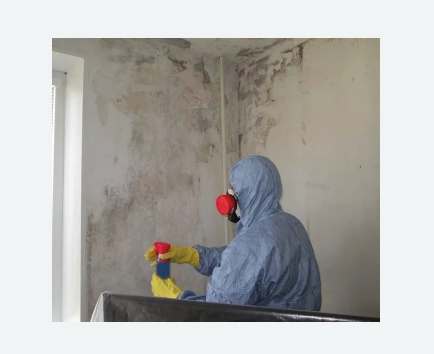 Удаление плесени в квартире Удаление плесени в квартире в Пятигорске