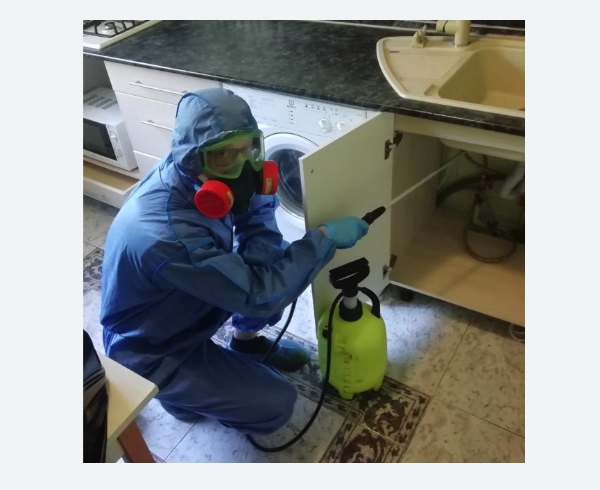 обработка от муравьев в квартире в Пятигорске