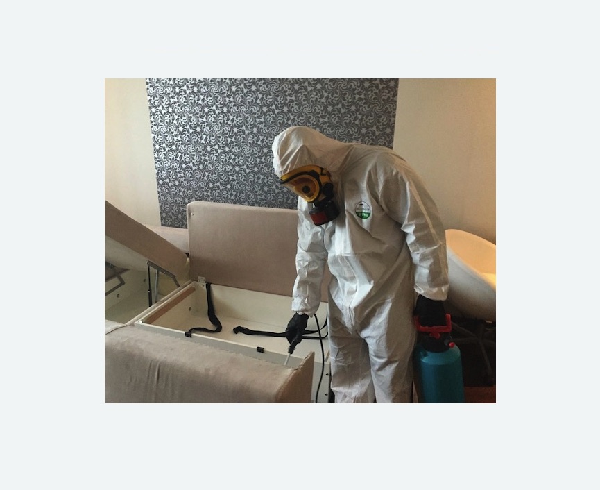 уничтожение клопов в квартире в Пятигорске