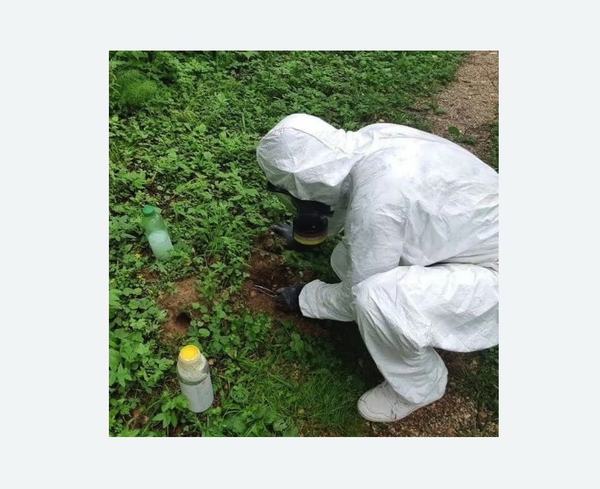 уничтожение кротов на участке в Пятигорске