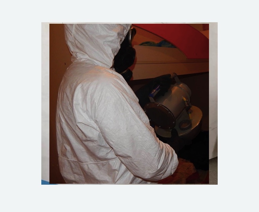 Дезинфекция от муравьев в Пятигорске