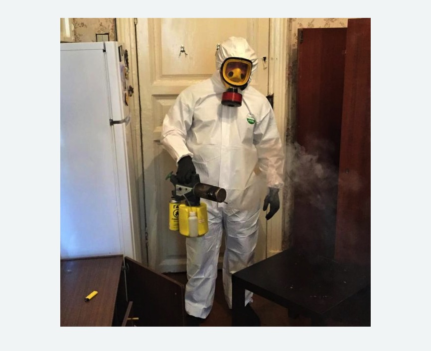 уничтожение муравьев в квартире в Пятигорске